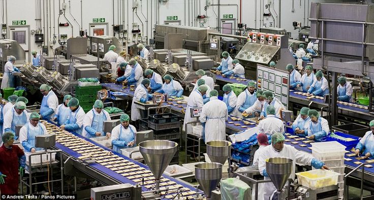 Inovasi Teknologi Industri Seafood