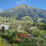 Destinasi Wisata Hits 2025 yang Viral di Media Sosial
