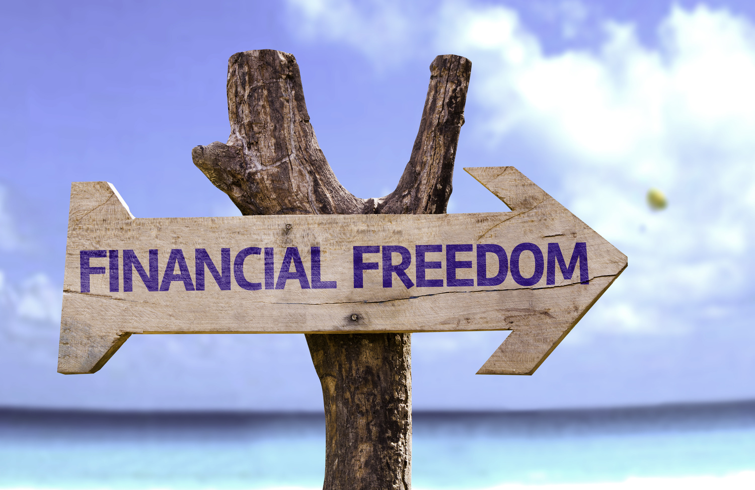 Cara Mencapai Financial Freedom